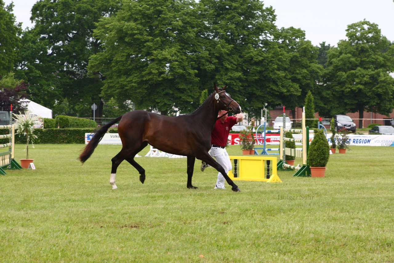 Bild 95 - Elmshorn am 9.6.10